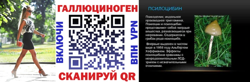 МЕГА зеркало  Губкин  Псилоцибиновые грибы MAGIC MUSHROOMS 