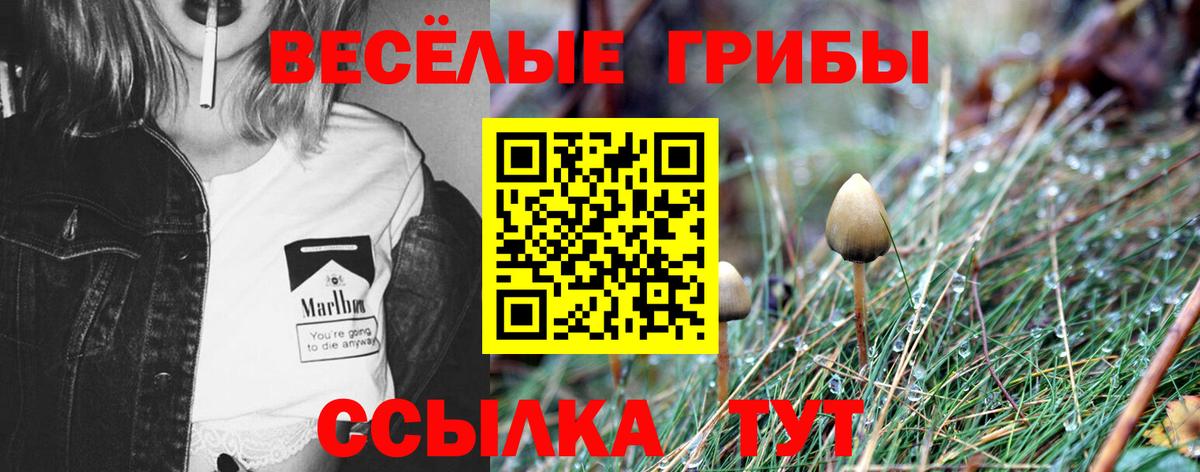Псилоцибиновые грибы Magic Shrooms  Галлюциногенные грибы Cubensis  Вход с VPN  Губкин 